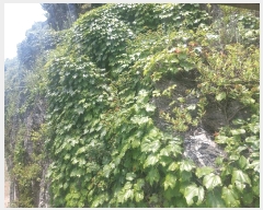  2025Ÿ��52532  �ٸ��ü����