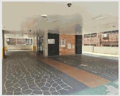  2025Ÿ��52612 ��� �Ȼ�� ��ϱ� ���ǵ� 477-5 �ŷ����̺� 3��302ȣ    �ټ���,������