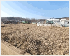  2025Ÿ��51645 ��� �Ȼ�� �ܿ��� ��ε��� 1227-3      ����(��1)���