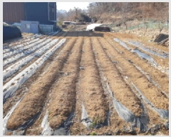  2025Ÿ51441   յ 25       (Ӿ)