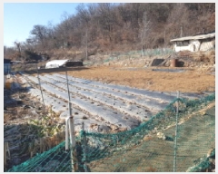  2025Ÿ51441   յ 25       (Ӿ)