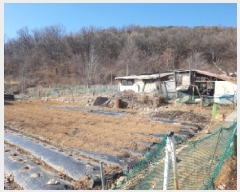  2025Ÿ51441   յ 25       (Ӿ)