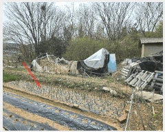  2025Ÿ��52084 ��� �Ȼ�� �ܿ��� ��ε��� 294-3      ����(��1)���