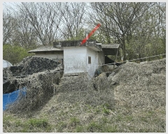  2025Ÿ��52084 ��� �Ȼ�� �ܿ��� ��ε��� 293      ���ð��