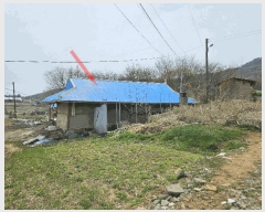  2025Ÿ��52084 ��� �Ȼ�� �ܿ��� ��ε��� 293      ���ð��