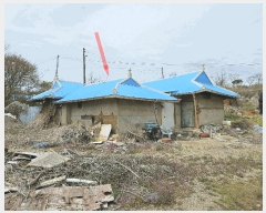  2025Ÿ��52084 ��� �Ȼ�� �ܿ��� ��ε��� 293      ���ð��