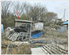  2025Ÿ��52084 ��� �Ȼ�� �ܿ��� ��ε��� 293      ���ð��