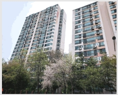  2025Ÿ��52135  ����Ʈ���