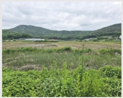  2025Ÿ��52295  ����