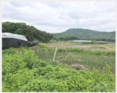  2025Ÿ��52295  ����