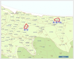  2025Ÿ��52295  ����