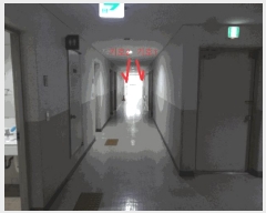  2025Ÿ��52336  ���ǽ��ڰ��