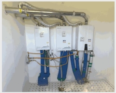  2025Ÿ��52418  ���(ķ����)���