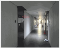  2025Ÿ��52462 ��� ����� ��� 233 ����츮����ũ�ν�2�� ���̵� 20��2030ȣ    ���ǽ��ڰ��