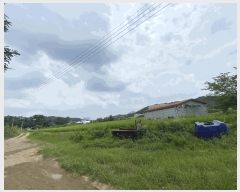  2025Ÿ��52725  �����