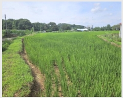  2025Ÿ��52725  �����