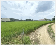  2025Ÿ��52725  �����