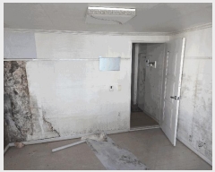  2025Ÿ��52841  �ټ���(����)���