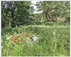  2025Ÿ��52852  �Ӿ߰��