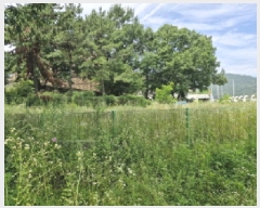  2025Ÿ��52852  �Ӿ߰��