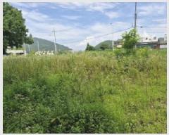  2025Ÿ��52852  �Ӿ߰��