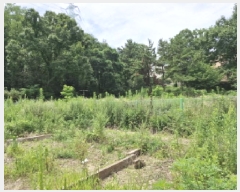  2025Ÿ��52852  �Ӿ߰��