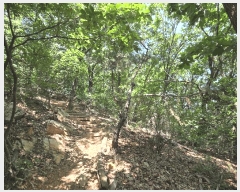  2025Ÿ��632 ��� ������ ���ϵ� ��92-1       ����(�Ӿ�)���