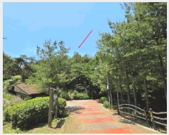  2025Ÿ��632 ��� ������ ���ϵ� ��92-1       ����(�Ӿ�)���