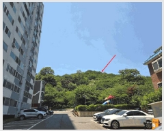  2025Ÿ��632 ��� ������ ���ϵ� ��92-1       ����(�Ӿ�)���