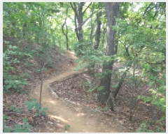  2025Ÿ��632 ��� ������ ���ϵ� ��92-1       ����(�Ӿ�)���