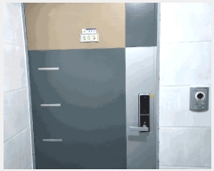  2025Ÿ��51817  �ټ���(����)���