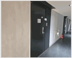  2025Ÿ51917    234 츮ũν1  4409ȣ    ǽڰ