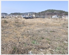  2025Ÿ51965  Ȼ ܿ γ 776-12      ()