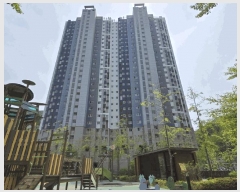  2025Ÿ52185    520 ȣݽ  610 222201ȣ   Ʈ