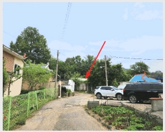  2025Ÿ��52211  ���ð��