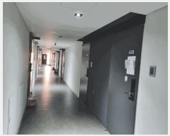  2025Ÿ��52276  ���ǽ��ڰ��