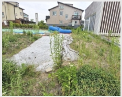  2025Ÿ��52419  ��Ÿ�������