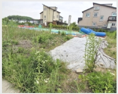  2025Ÿ��52419  ��Ÿ�������