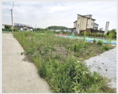  2025Ÿ��52419  ��Ÿ�������