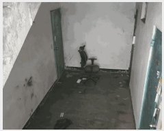  2025Ÿ��52515 ��� �Ȼ�� �ܿ��� ���ε� 1089-19 ��1��103ȣ     �ټ���,������