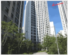  2025Ÿ��52807  ����Ʈ���