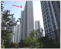  2025Ÿ��52807  ����Ʈ���