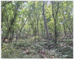  2025Ÿ��52855  �Ӿ߰��