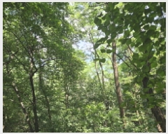  2025Ÿ��52855  �Ӿ߰��