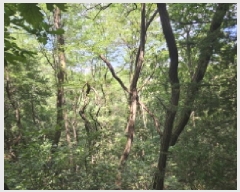  2025Ÿ��52855  �Ӿ߰��