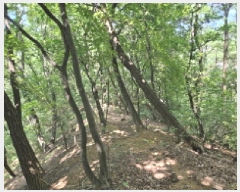  2025Ÿ��52855  �Ӿ߰��