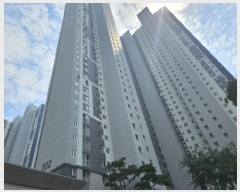  2025Ÿ��52886  ����Ʈ���