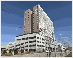  2025Ÿ��375  ���ǽ��ڰ��