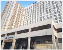  2025Ÿ��375  ���ǽ��ڰ��