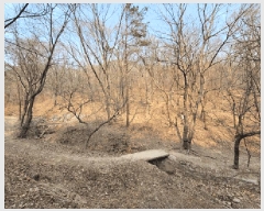  2025Ÿ��547  �Ӿ߰��